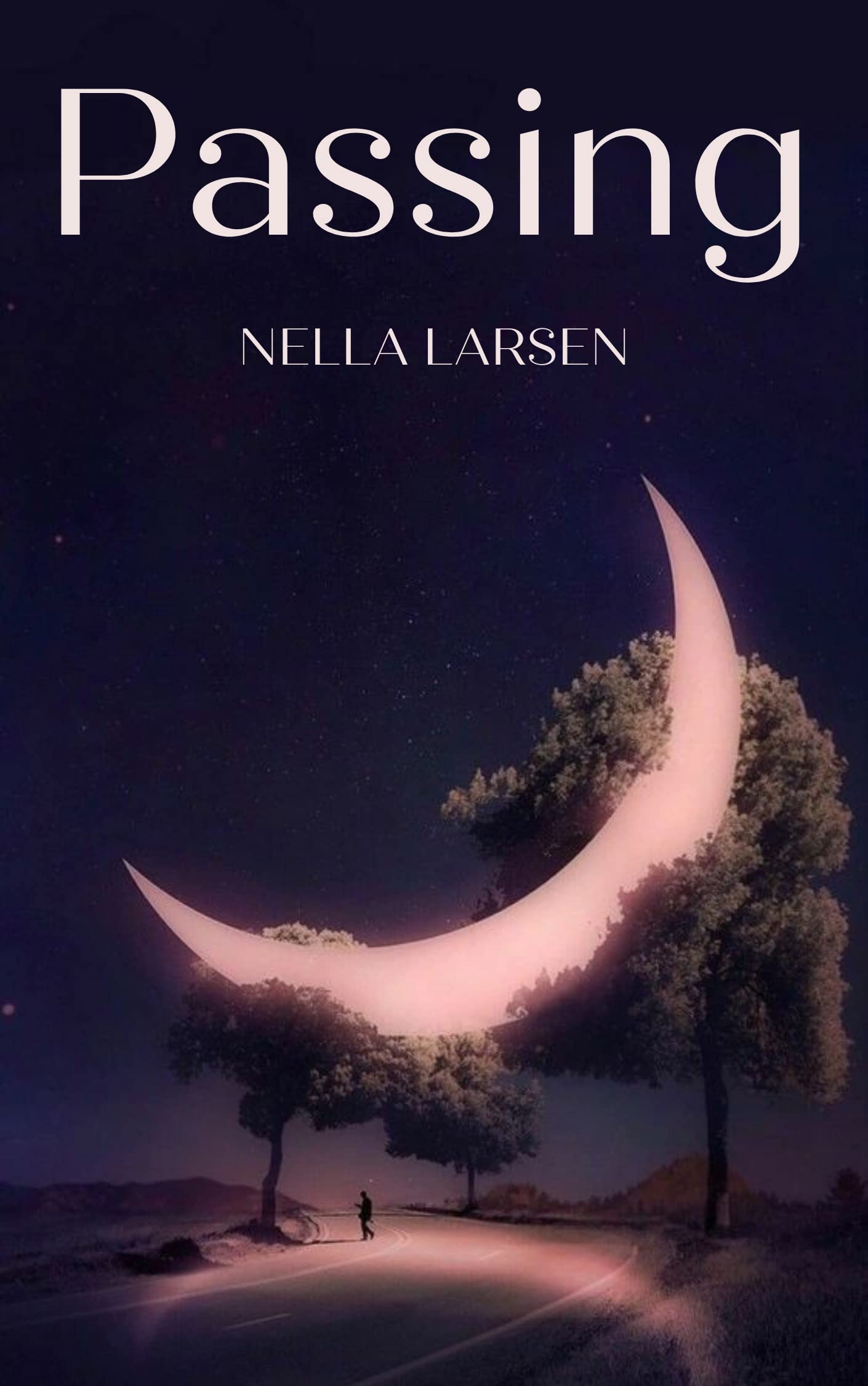 Passing book cover