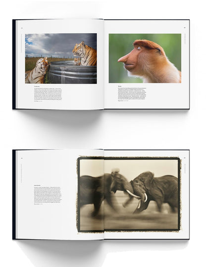 60 Years of Wildlife Photographer of the Year: How Wildlife Photography Became Art