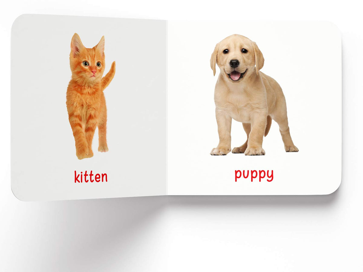 My First Book of Baby Animals | First Animal Board Book for Babies, Toddlers & Preschoolers | Learn About Cute Baby Animals with Bright, Adorable Pictures | Early Learning Book for Kids Ages 0-3 Years