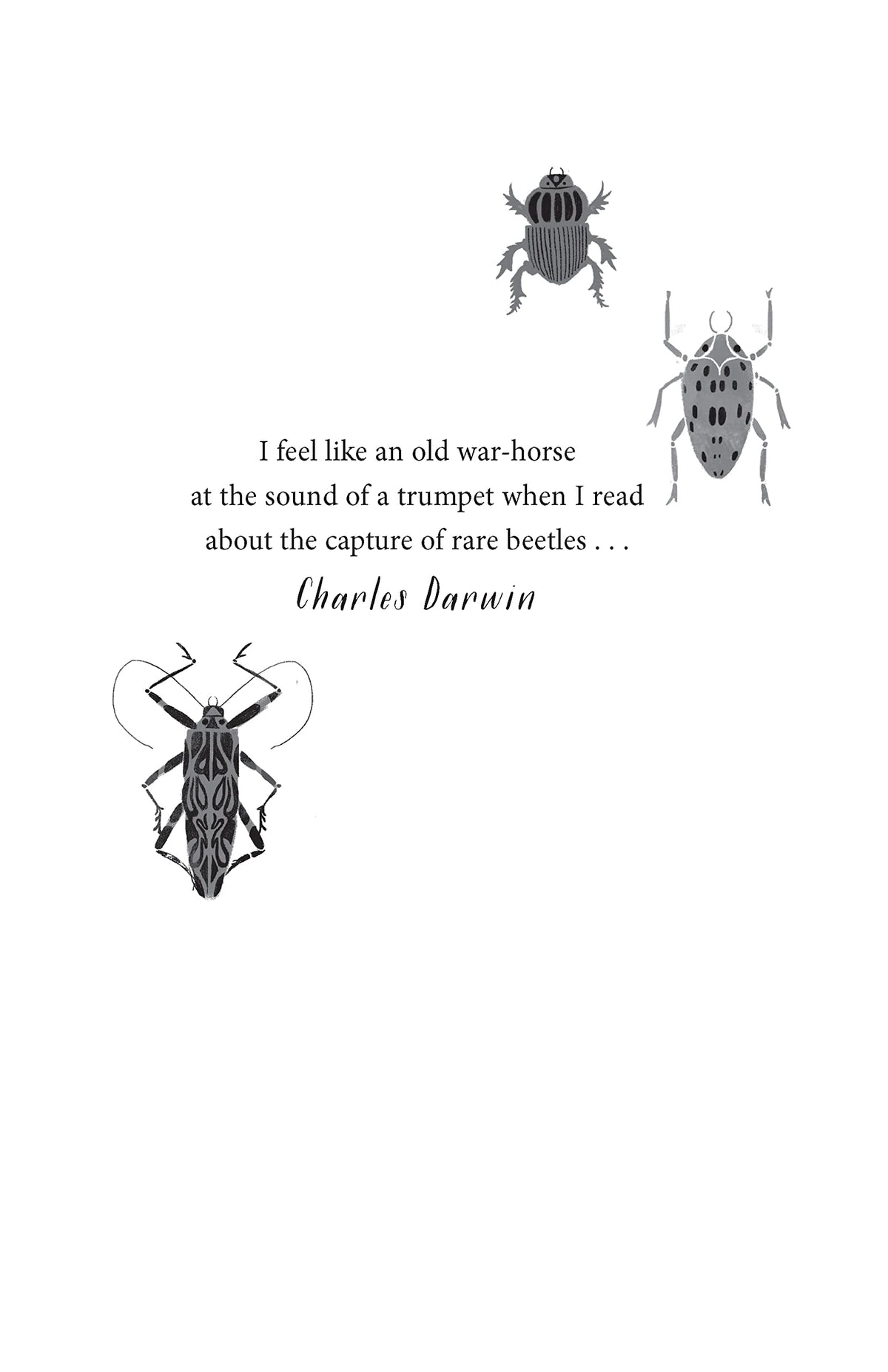 Beetle Boy (The Battle of the Beetles): 1