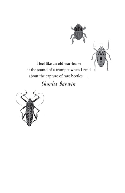 Beetle Boy (The Battle of the Beetles): 1