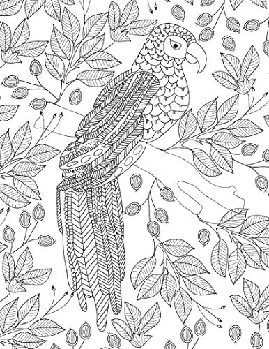 Nature Adult Colouring Book for Peaceful Creativity and Stress Relief | Beautiful Designs Inspired by Flowers, Birds, Butterflies & More for Relaxation and Mindful Expression
