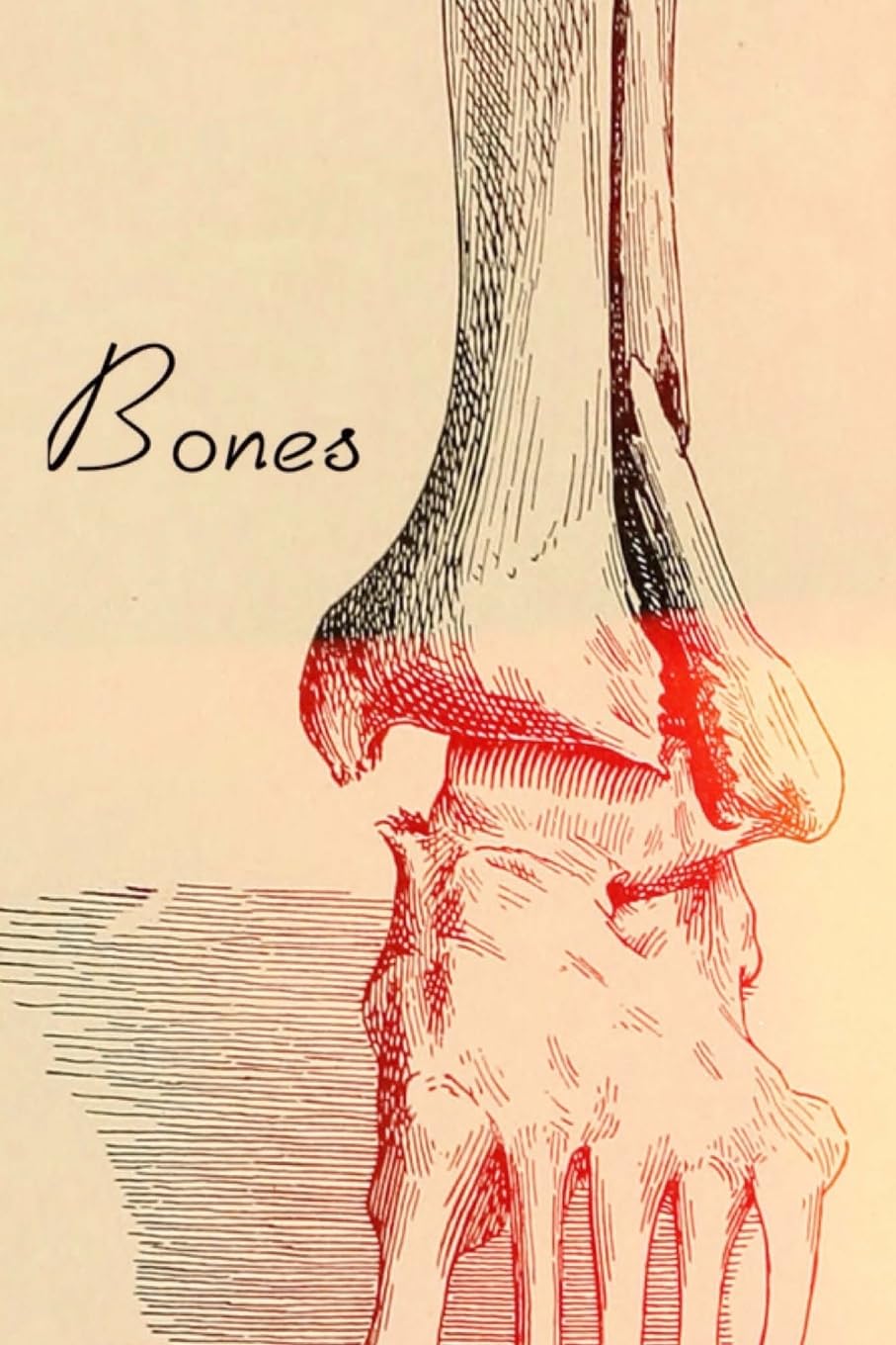 Bones book cover