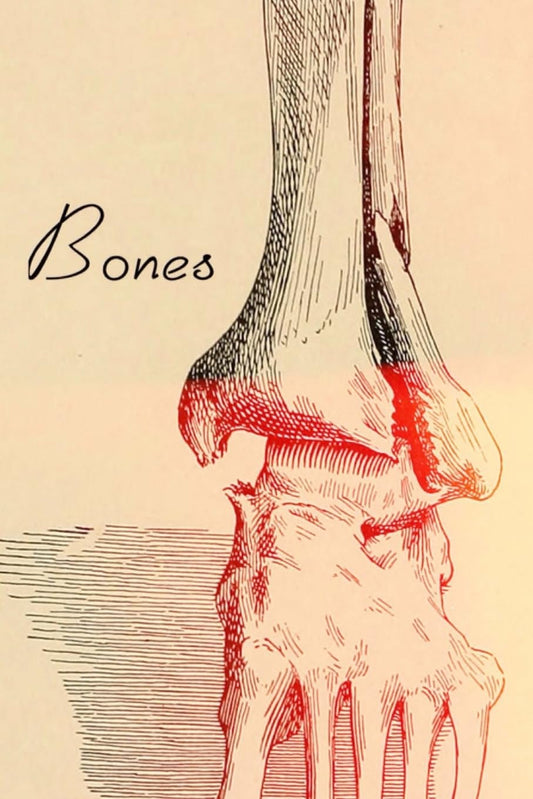Bones book cover