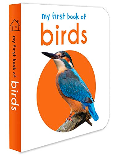 My First Book of Birds: First Board Book book cover