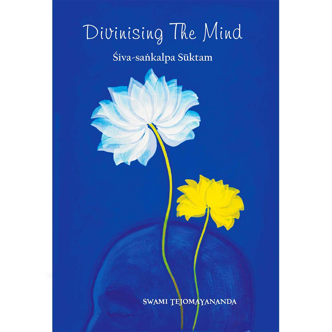 Divinising the Mind book cover