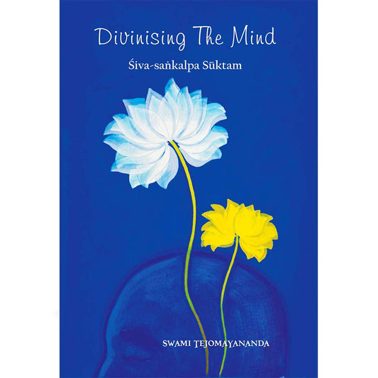 Divinising the Mind book cover