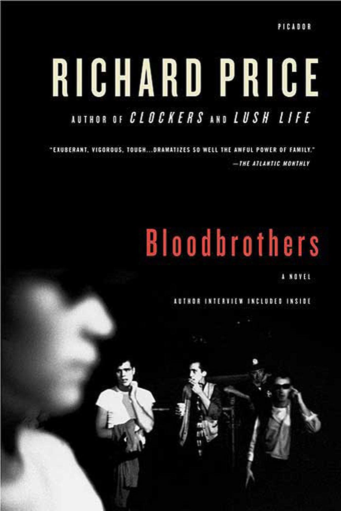 Bloodbrothers book cover