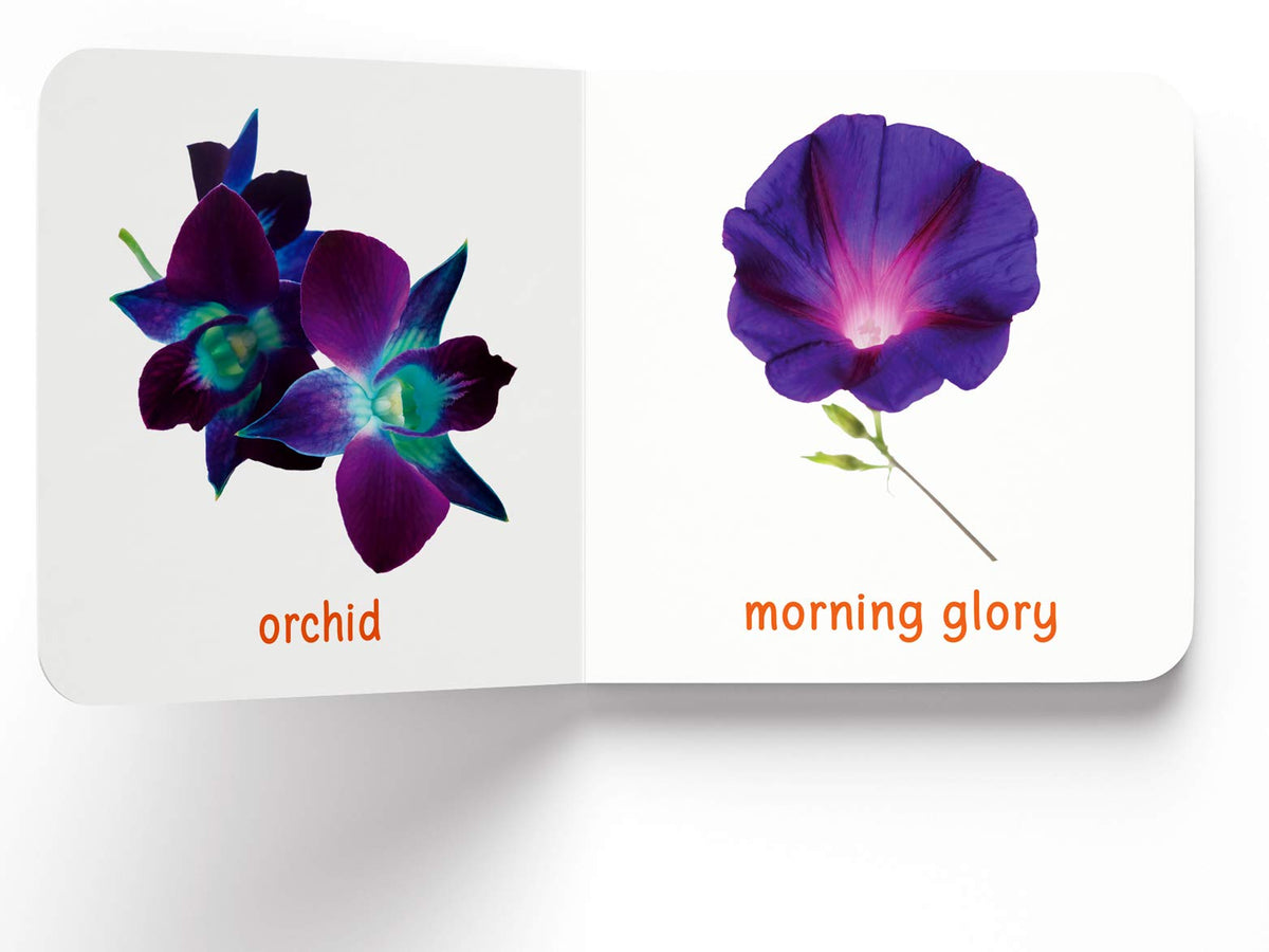 My First Book of Flowers | First Flower Board Book for Babies, Toddlers & Preschoolers | Learn About Beautiful Flowers with Bright, Colorful Pictures | Early Learning Book for Kids Ages 0-3 Years