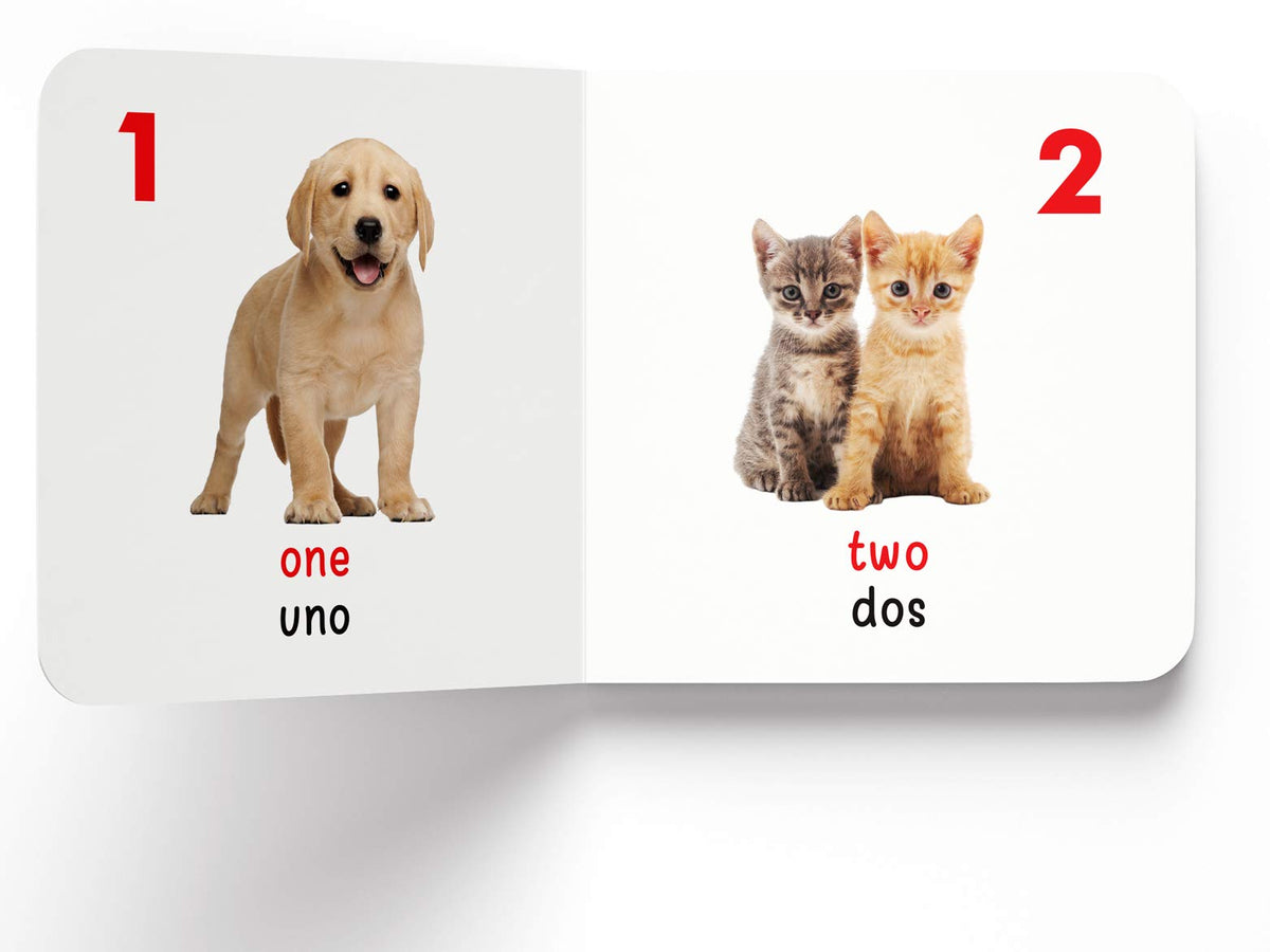 My First Book of Numbers Numeros : My First English Spanish Board Book (English - Español)