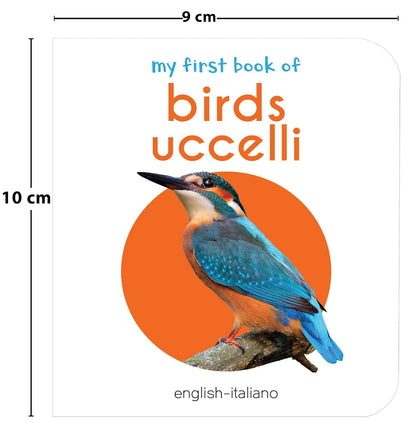 My First English-Italiano Learning Library (la mia prima biblioteca delle parole Inglese-Italiano) : Boxset of 10 English - Italian Board Books