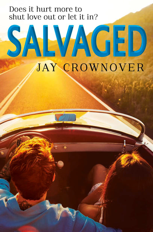 SAINTS OF DENVER (4) — SALVAGED book cover