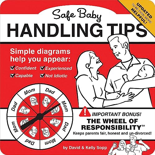 SAFE BABY HANDLING TIPS book cover