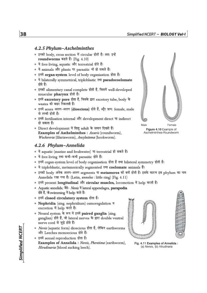 Arihant NCERT Biology Simplified Class 11 | NCERT Reference Book Synced with Rationalised NCERT | NEET Competition Focus, Free Chapterwise Online Tests | For Exam 2026-2027