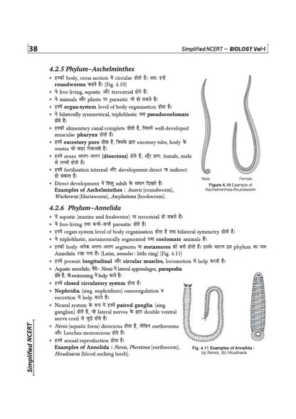Arihant NCERT Biology Simplified Class 11 | NCERT Reference Book Synced with Rationalised NCERT | NEET Competition Focus, Free Chapterwise Online Tests | For Exam 2026-2027