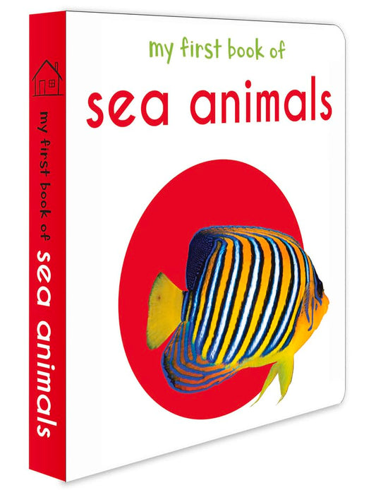 My First Book of Sea Animals: First Board Book book cover