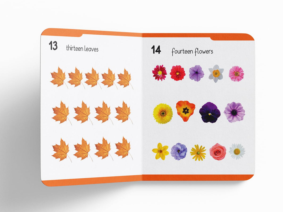 Early Learning Padded Book of Numbers: Board Book for Kids | Learn Counting from 1 to 20 with Bright and Engaging Pictures | Durable Padded Board Book for Babies, Toddlers & Preschoolers | Ages 0–5 Years