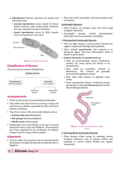 Arihant All in One Biology Class 11 for CBSE Exam 2026-27 | NCERT Based Complete Theory, Practice Exercises, CBQs, A-R, Sample Papers & Mind Maps | Revised Edition as per Latest Syllabus