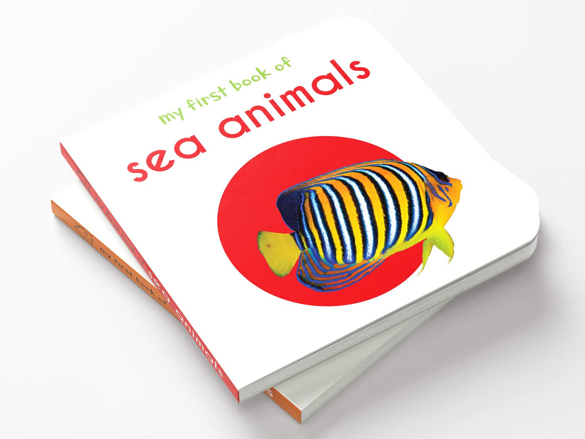 My First Book Of Sea Animals | Ages 0–3 Years | Ocean Animals | Board Book For Kids | Fish | Dolphins | Whales | Bright Pictures | Vocabulary Building | Toddlers & Preschoolers | Latest Edition