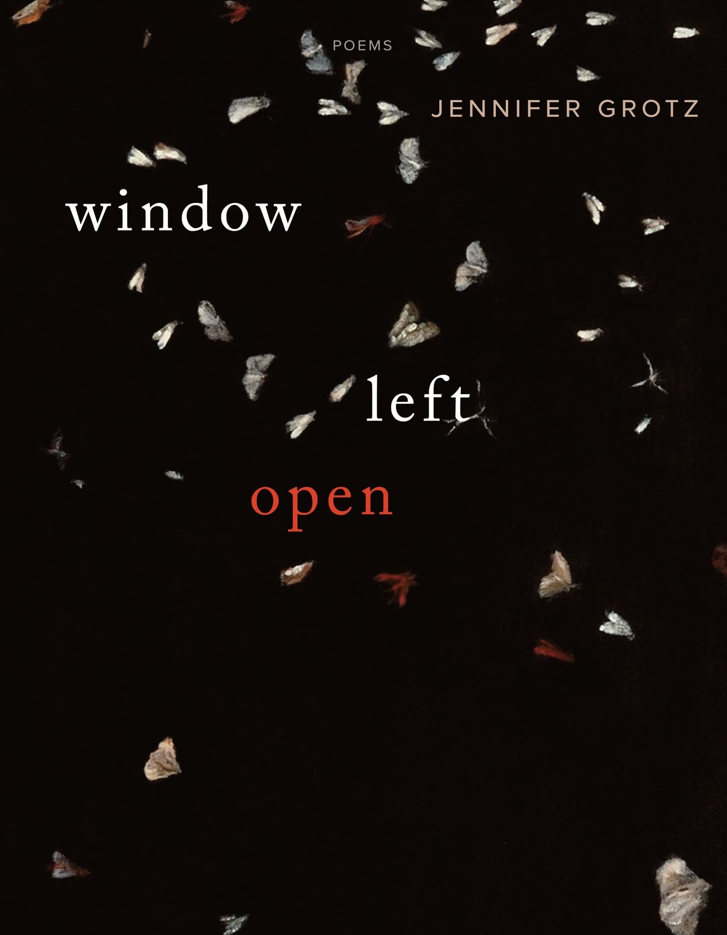 Window Left Open: Poems book cover
