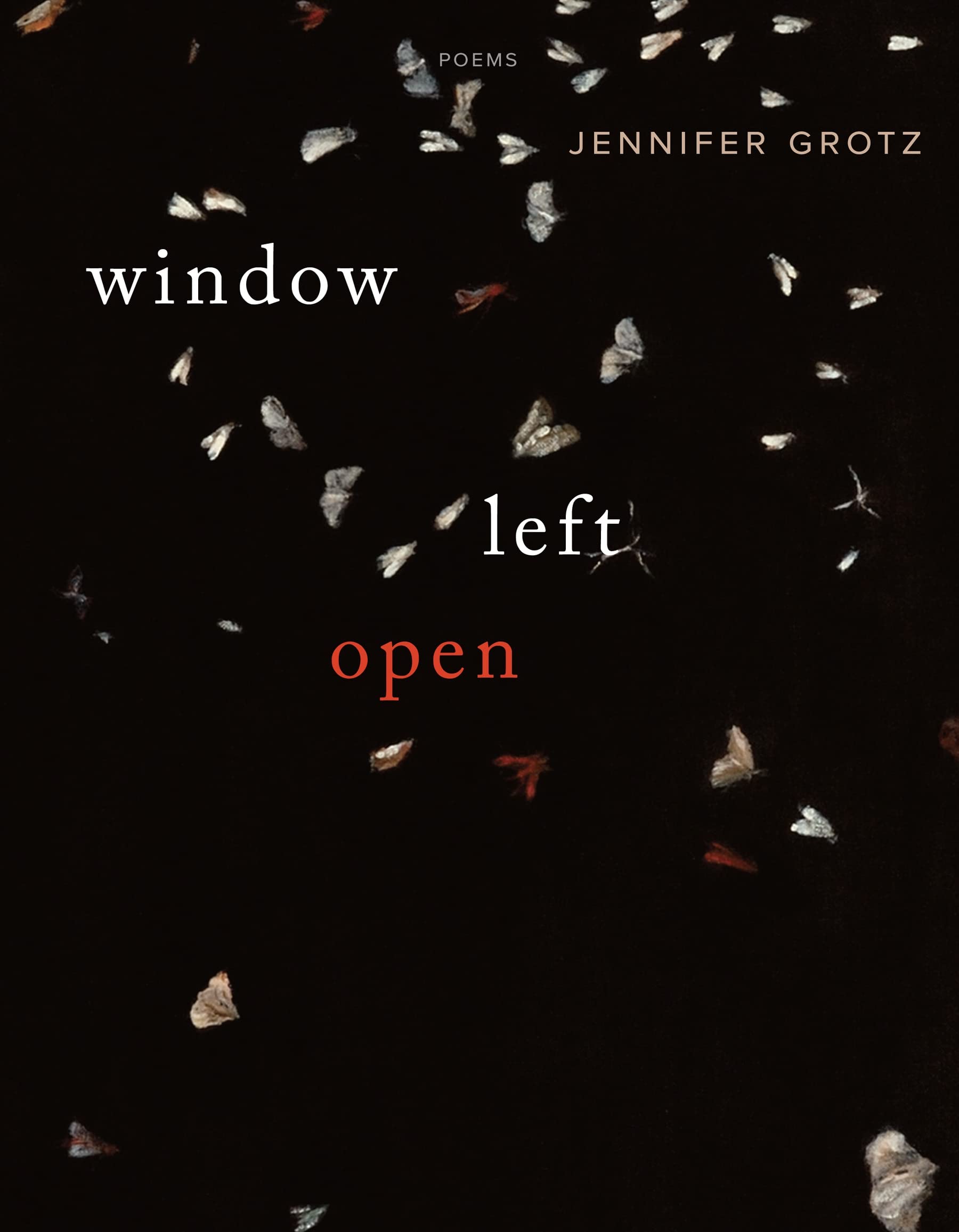 Window Left Open: Poems book cover