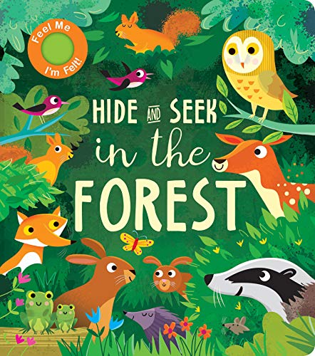 Hide and Seek: In the Forest book cover