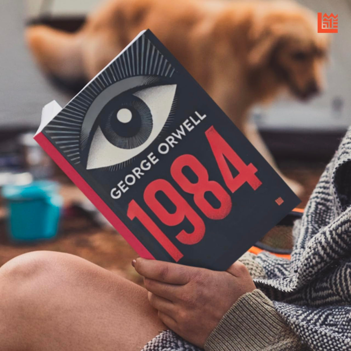 1984 George Orwell [Premium Paperback] | Modern Classics | George Orwell Books | Literature Books Under 200 | Political Books | Sci Fi Novels | Literary Fiction Books | From The Author of Animal Farm