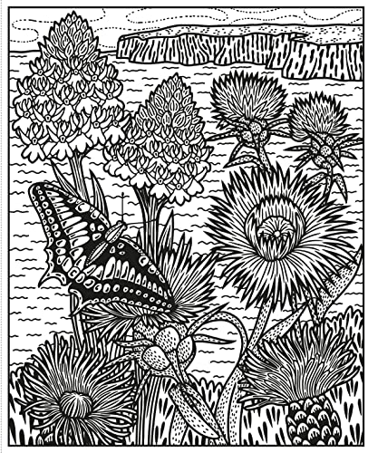 Wildflowers Magic Painting Book (Magic Painting Books)