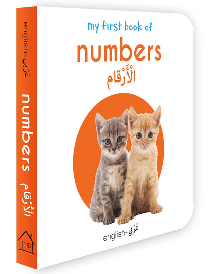 My First English-Arabic Learning Library: Bilingual Boxset of 10 Picture Board Books for Kids - Covers Basic Concepts and Everyday Topics