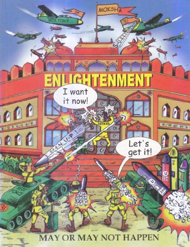Enlightenment May or May Not Happen book cover