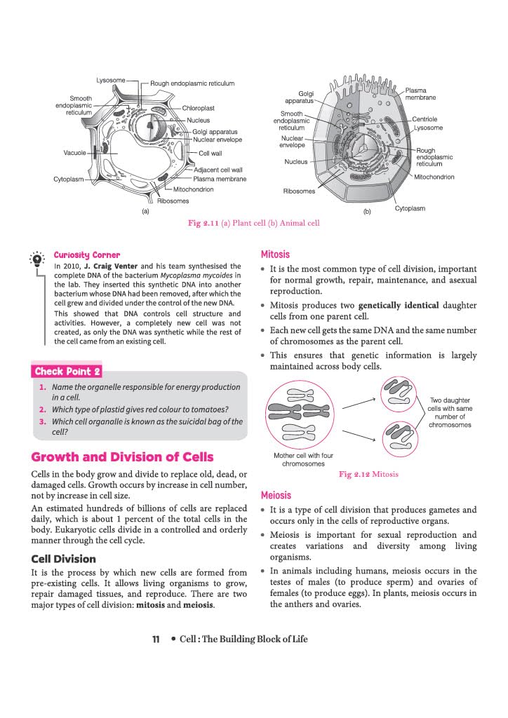 Arihant All in One Science (Exploration) Class 9 for CBSE Exam 2026-27 | NCERT Based Complete Theory, Practice Exercises, CBQs, A-R, Sample Papers & Mind Maps | Revised Edition as per Latest Syllabus