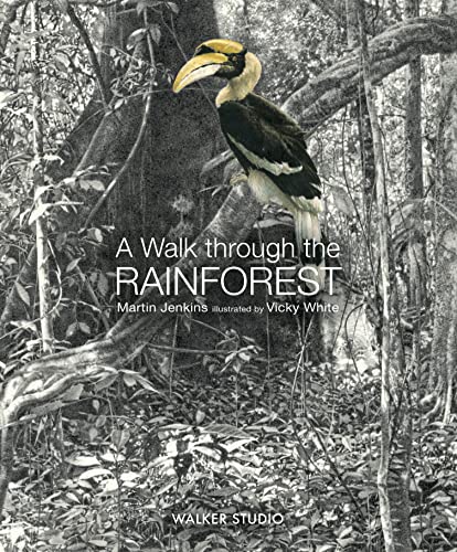A Walk Through the Rainforest book cover