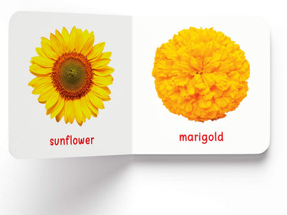 My First Book of Flowers | First Flower Board Book for Babies, Toddlers & Preschoolers | Learn About Beautiful Flowers with Bright, Colorful Pictures | Early Learning Book for Kids Ages 0-3 Years