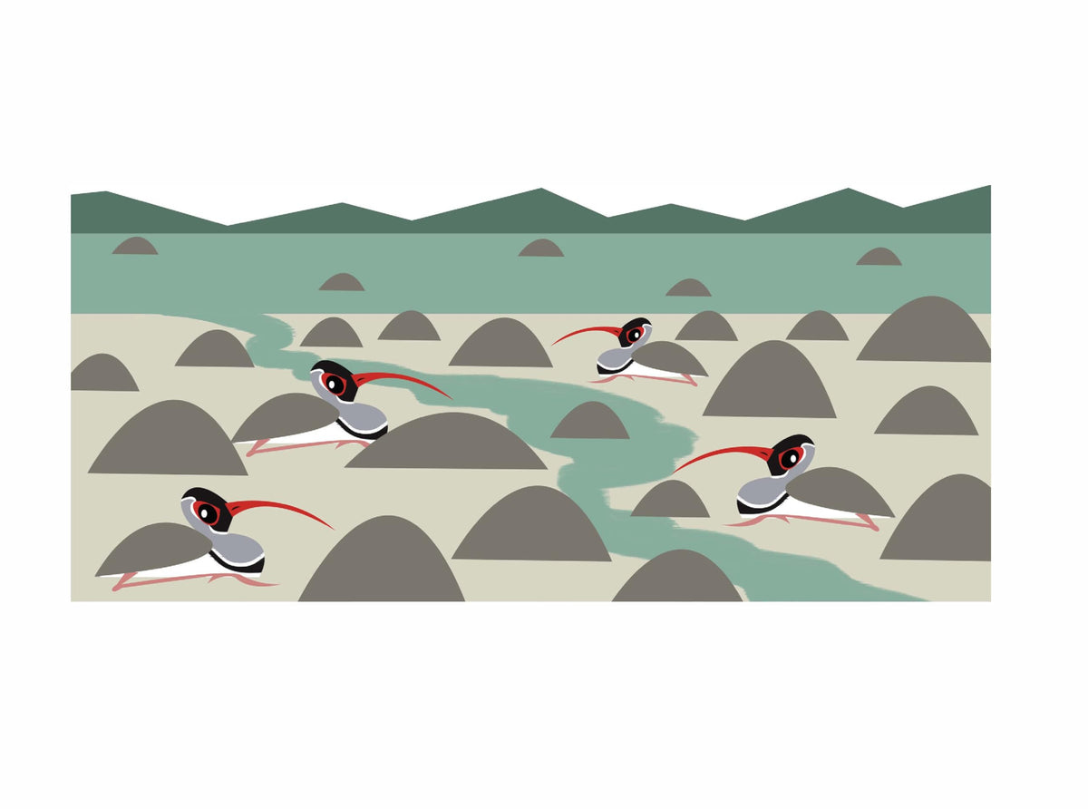 Bird Business
