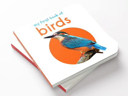My First Book of Birds | First Birds Board Book for Babies, Toddlers & Preschoolers | Learn About Common Birds with Bright and Realistic Pictures | Early Learning Book for Kids Ages 0-3 Years