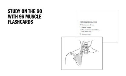 Anatomy Coloring Book with 450+ Realistic Medical Illustrations with Quizzes for Each (Kaplan Test Prep)