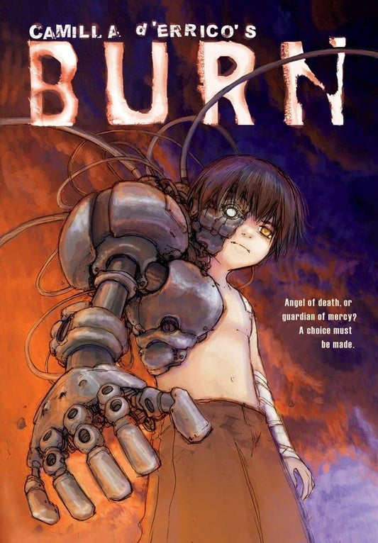 Camilla dErricos Burn book cover