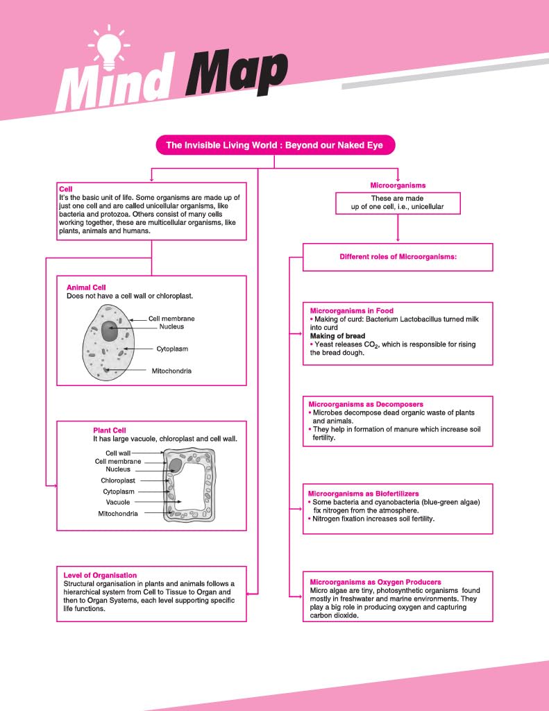 Arihant All in One Science Class 8 Book 2025 Edition | NCERT Based Complete Study Guide with Mind Map, Competency Based Questions, Chapterwise Exercises and Sample Question Papers