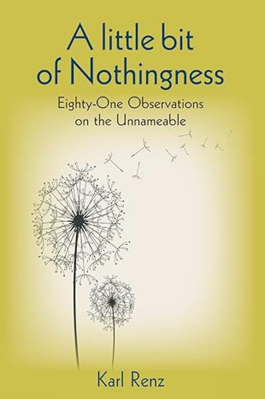 A Little bit of Nothingness book cover
