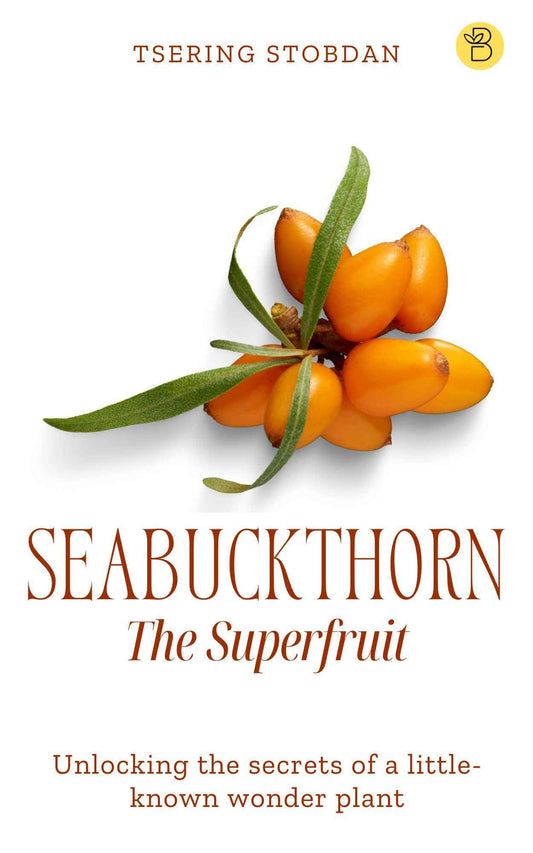 Seabuckthorn The Superfruit