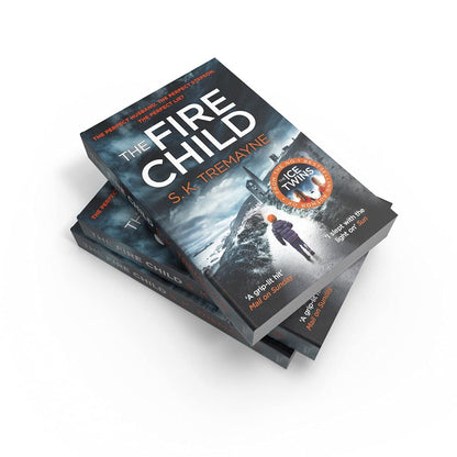 The Fire Child: The gripping psychological thriller from the bestselling author of The Ice Twins