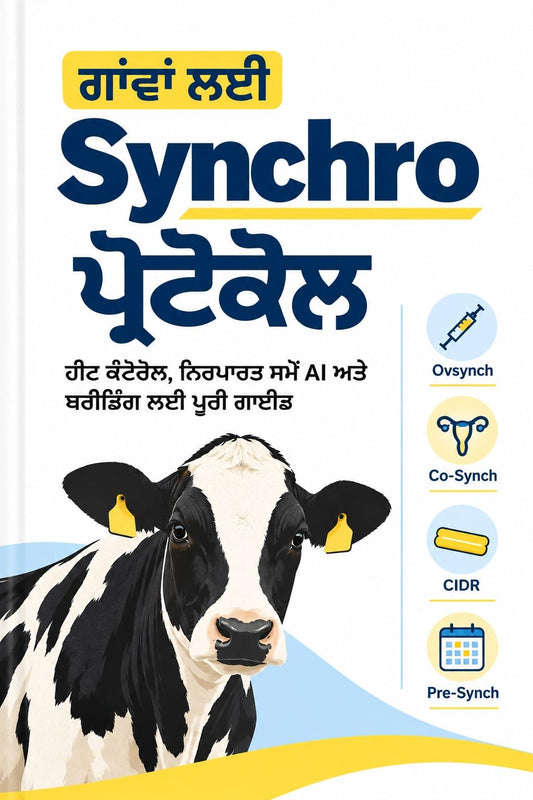 Cow Synchro Protocol Book in Punjabi (This Season's Breeding Record)