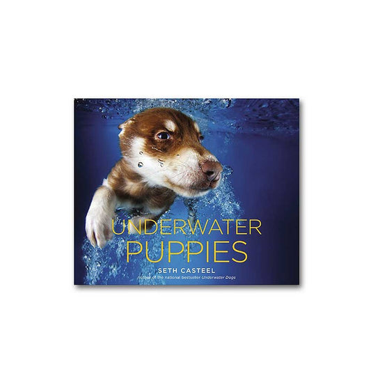 Underwater Puppies book cover