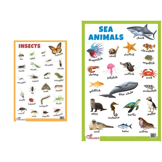 Insects book cover