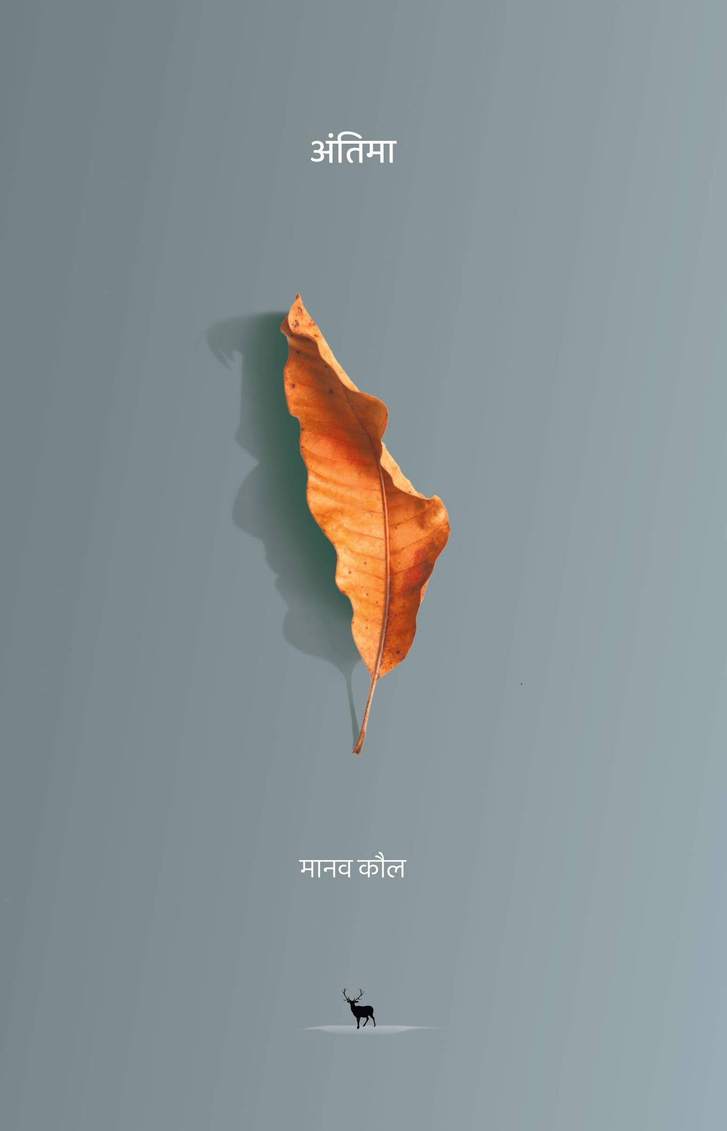 Antima  (Hindi) book cover