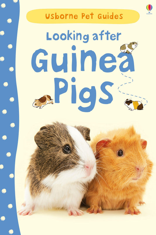 LOOKING AFTER GUINEA PIGS book cover