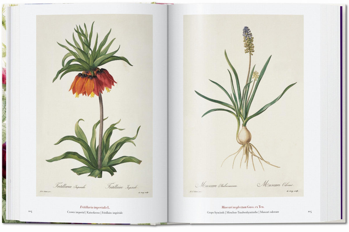 Taschen Bk Of Flowers