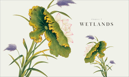 Atlas of Botany: An Exploration of Plants Across Time and Around the World