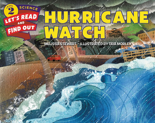 HURRICANE WATCH book cover