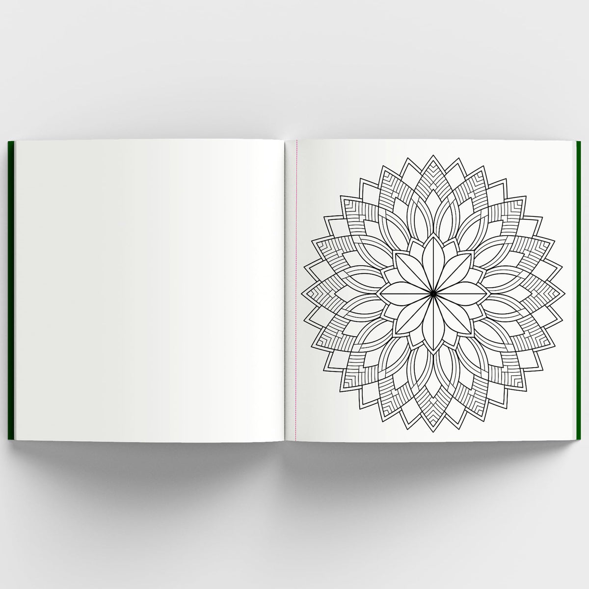 Meditative Mandalas: Adult Coloring Book: Meditative Mandalas for Relaxation & Stress Relief | A Mindfulness & Therapy Guide for Adults to Unwind & Boost Creativity [Select Learning]